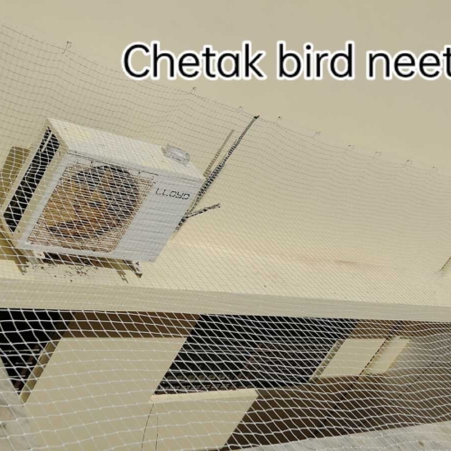 chetak-pest-control-services-udaipur-city-udaipur-rajasthan-pest-control-services-081frtq18a