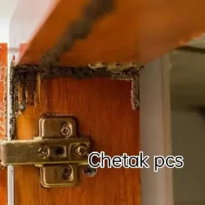 chetak-pest-control_g3