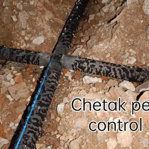 chetak-pest-control_g4